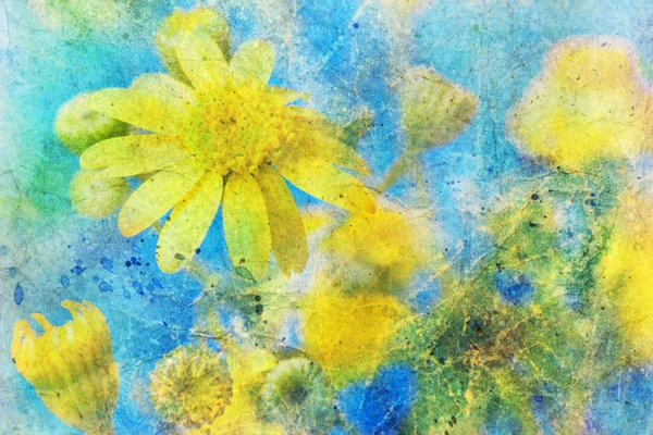 Sunny yellow daisy and messy watercolor splatter — Stock Photo, Image