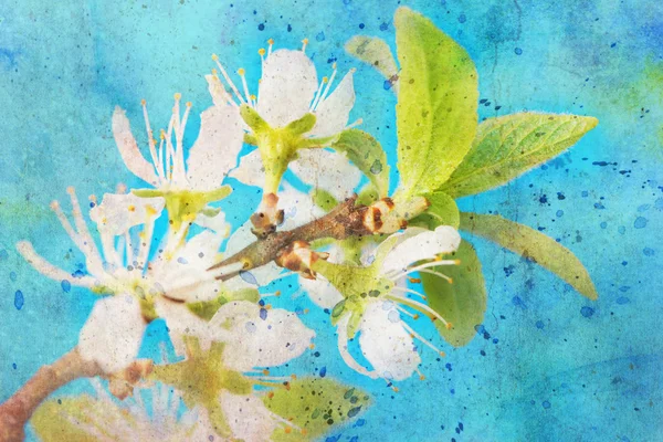 Twig with flowers and messy watercolor splatter — Stock Photo, Image