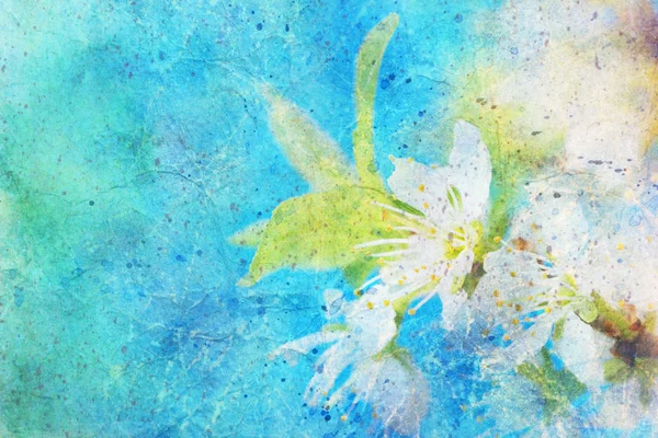 Blooming spring twig with flowers and messy watercolor splashes — Stock Photo, Image