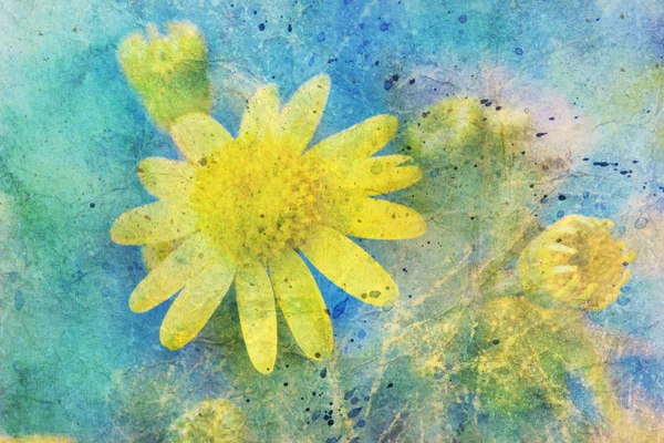 Jolie fleur jaune et éclaboussure d'aquarelle salissante — Photo