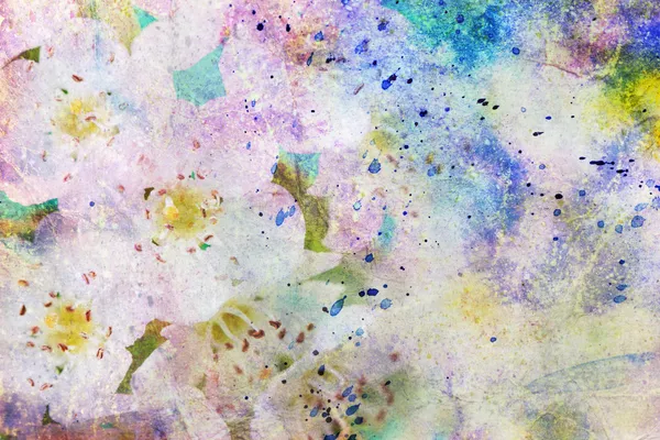 Grunge messy watercolor splatter and white flowers — Stock Photo, Image