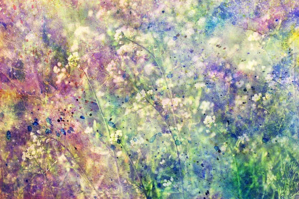 Grunge éclaboussures d'aquarelle colorées et petites fleurs en fleurs — Photo