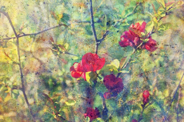 Grunge messy watercolor splatter and twigs with red flowers — Stock Photo, Image