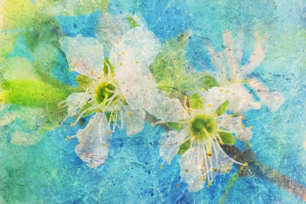 Messy watercolor splatter and spring branch — Stock Photo, Image