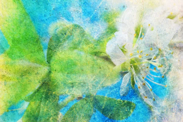 Éclaboussure d'aquarelle désordonnée et rameau de printemps fleurissant — Photo