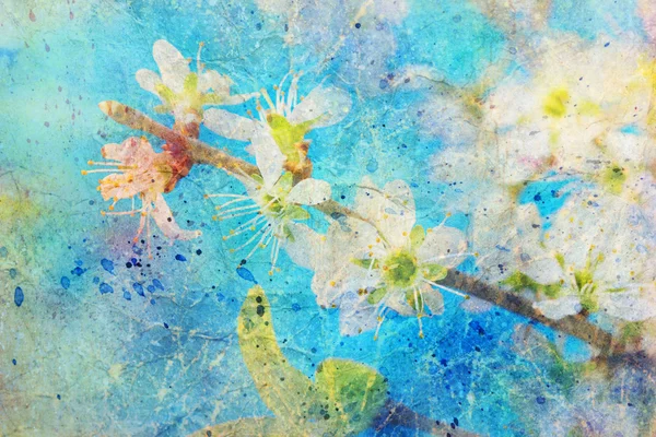 Watercolor splashes and blooming spring twig with white flowers — Stock Photo, Image