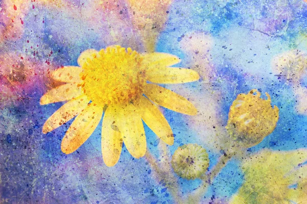 Splatter aquarela colorido bagunçado e flor amarela — Fotografia de Stock