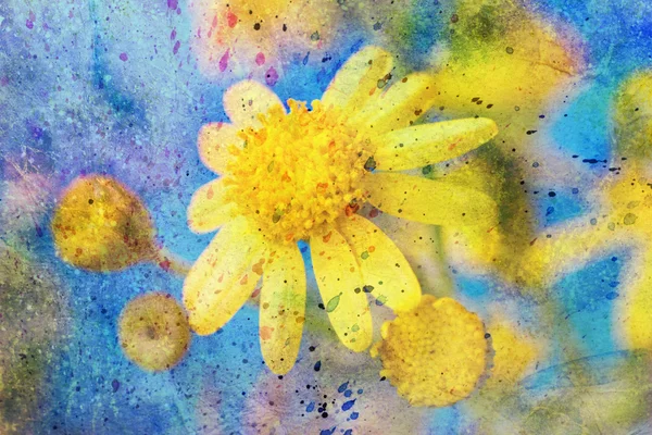 Messy watercolor splashes and bright yellow flower — Stock Photo, Image