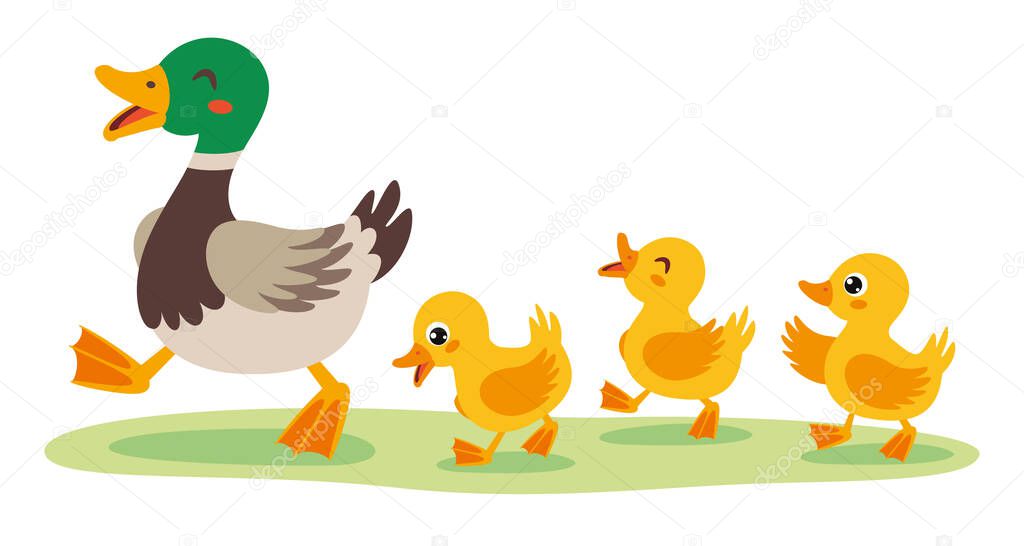 Cartoon Illustration Of Mother And Baby Ducks