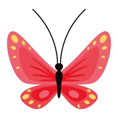 Flat Drawing Of A Butterfly