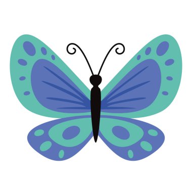 Flat Drawing Of A Butterfly