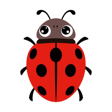 Cartoon Illustration Of A Ladybug