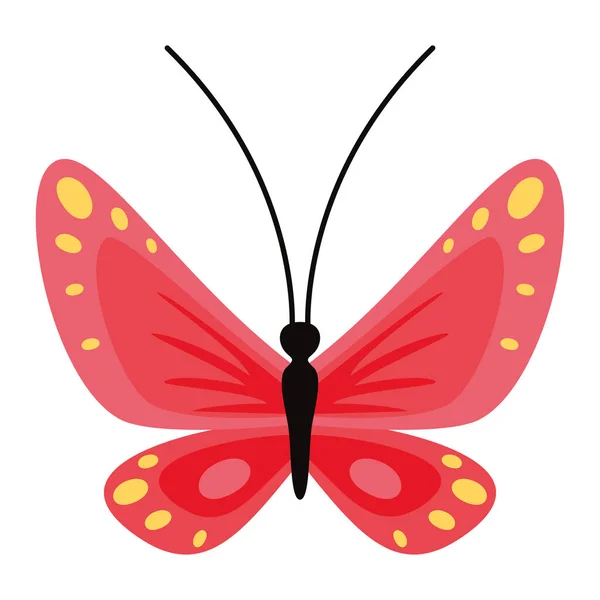 Flat Drawing Butterfly — Wektor stockowy