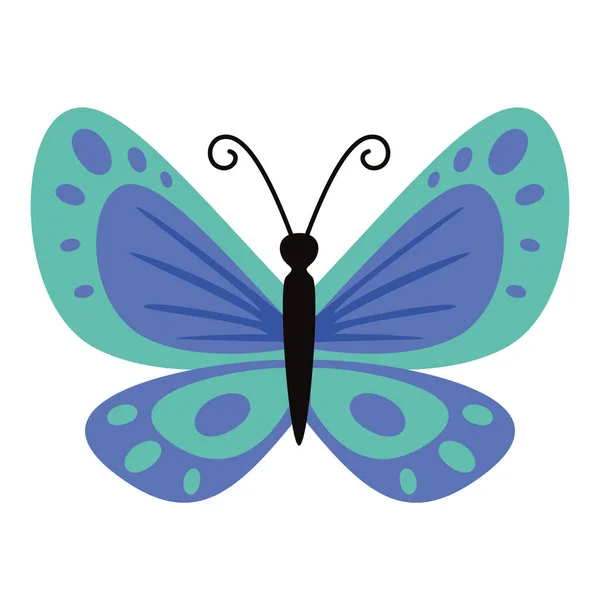 Flat Drawing Butterfly — Vector de stock