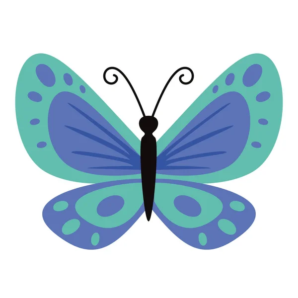 Flat Drawing Butterfly — Wektor stockowy