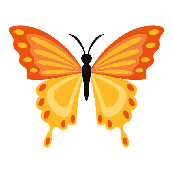 Flat Drawing Butterfly — Vetor de Stock