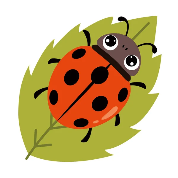 Cartoon Illustration Ladybug - Stok Vektor