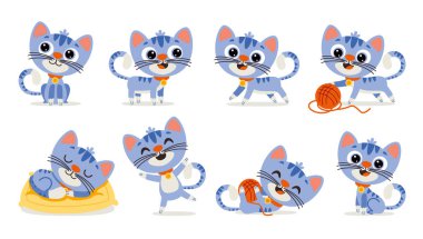 Set Of Cartoon Cat Poses