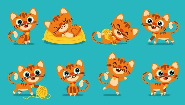 Set Cartoon Cat Poses — Stok Vektör