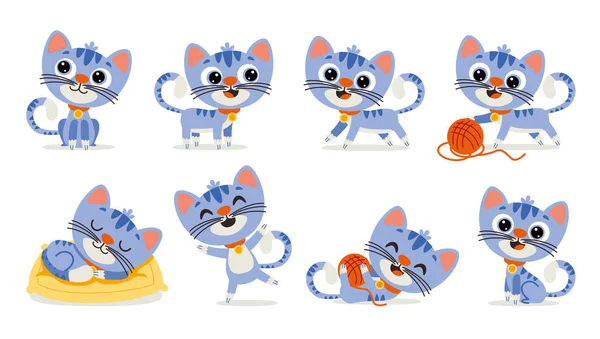 Set Cartoon Cat Poses — 스톡 벡터