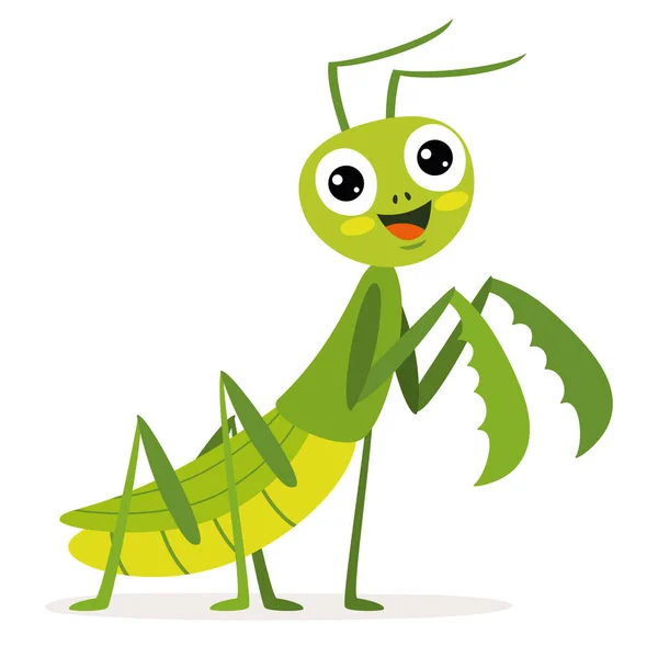Cartoon Drawng Praying Mantis — Image vectorielle