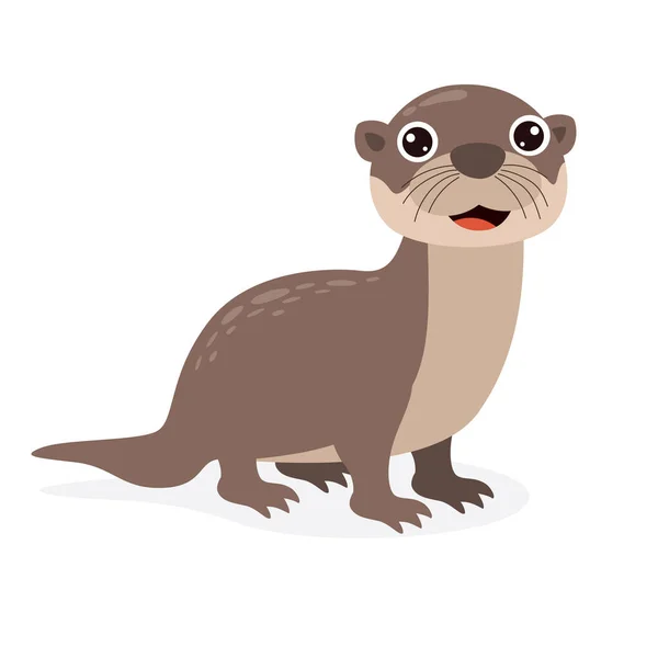 Cartoon Drawing Otter — Stock Vector