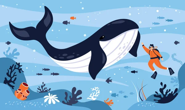 ダイバーとクジラの平面図 — ストックベクタ