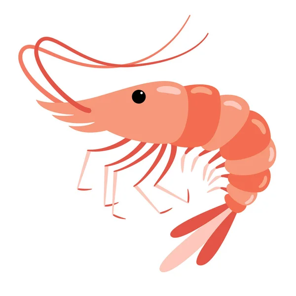 Cartoon Drawing Shrimp — Stock Vector