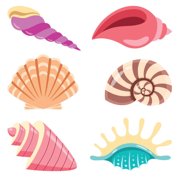 Set Of Various Sea Shells
