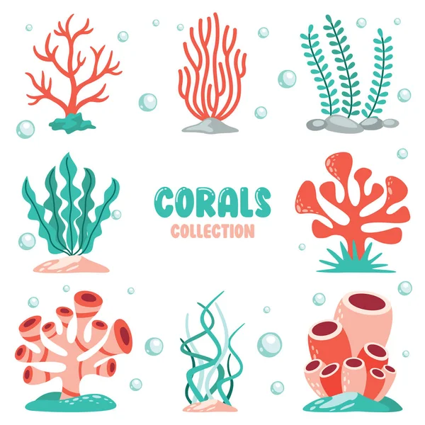 Gambar Datar Dari Koral Berwarna - Stok Vektor