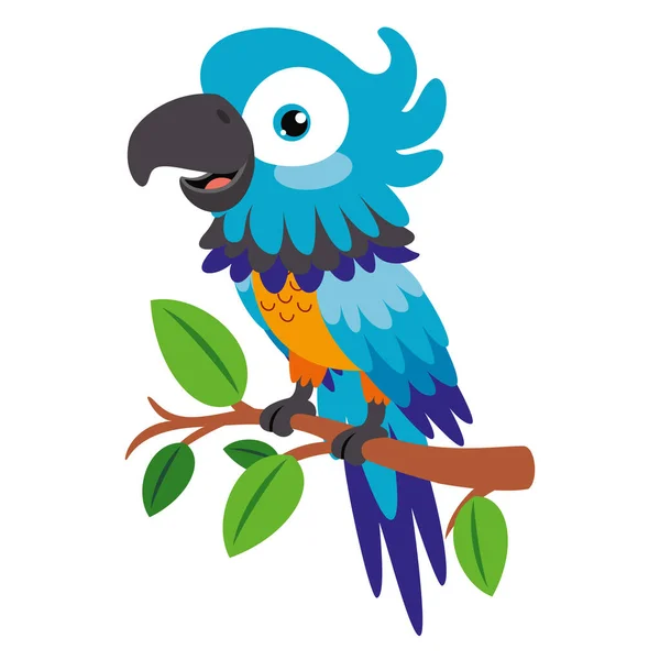 Cartoon Drawing Parrot — Stock Vector