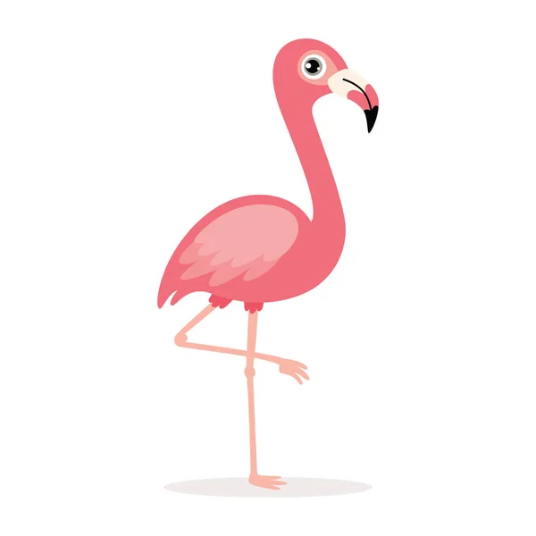 Cartoon Drawing Flamingo — Stockový vektor