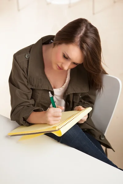 Carino ragazza caucasica al lavoro — Foto Stock