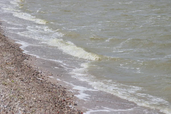 Krajobraz Wybrzeża Zatoki Kaliningradzkiej — Zdjęcie stockowe