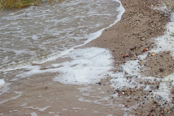 Krajobraz Wybrzeża Zatoki Kaliningradzkiej — Zdjęcie stockowe