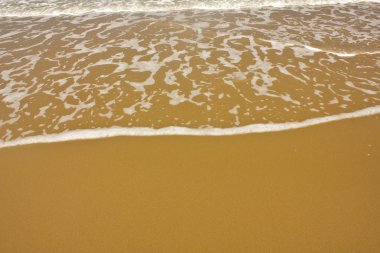 Shiny tropic sea wave on golden beach sand clipart