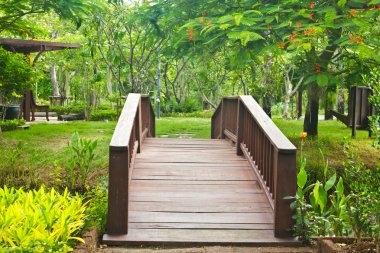 Yaz aylarında Park güzel eski ahşap köprü.