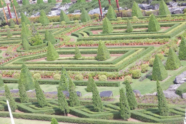 Schöner Garten — Stockfoto