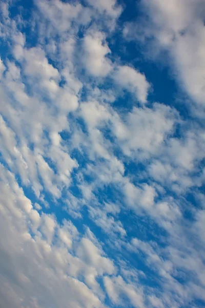 Cloud on the blue sky texture background. — Stock Photo, Image