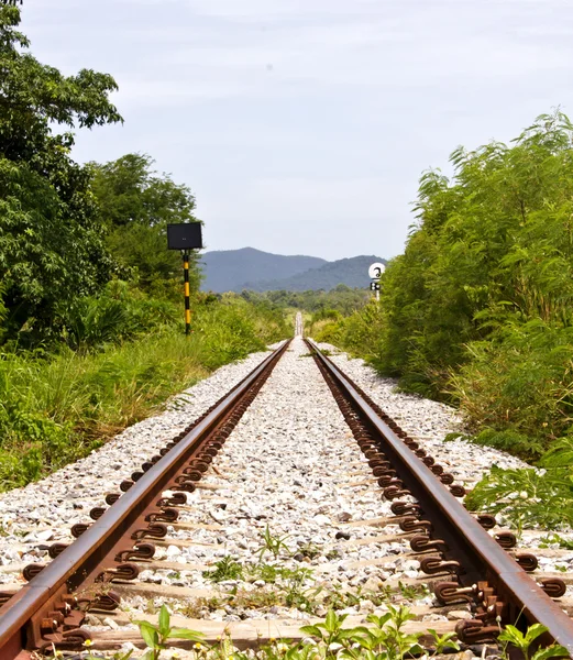 Railway on field — Stock Photo, Image
