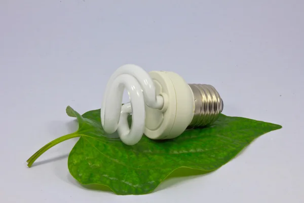 Energy saving lamp with green seedling on white — Stock Photo, Image