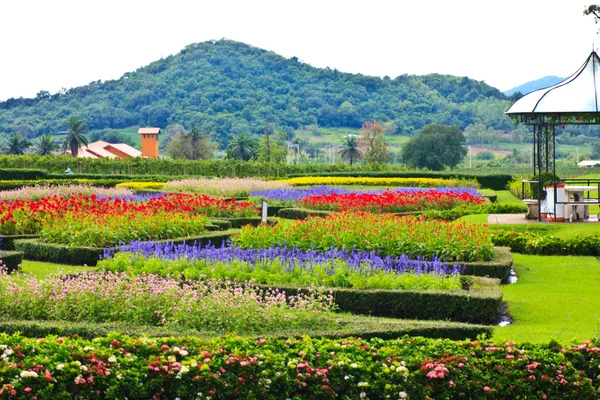 Paisaje día soleado con flores rojas — Foto de Stock