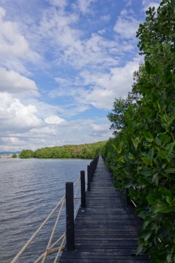 köprü mavi gökyüzü textu üzerinde mangrov ağaçlar çevrilidir