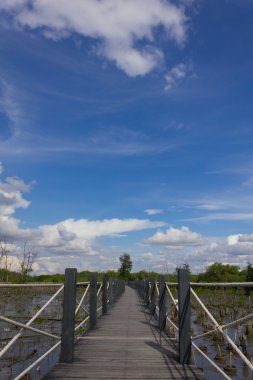 köprü mavi gökyüzü textu üzerinde mangrov ağaçlar çevrilidir