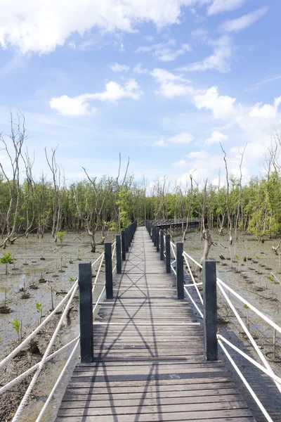 Most jest otoczony przez drzewa mangrowe na niebieski niebo textu — Zdjęcie stockowe