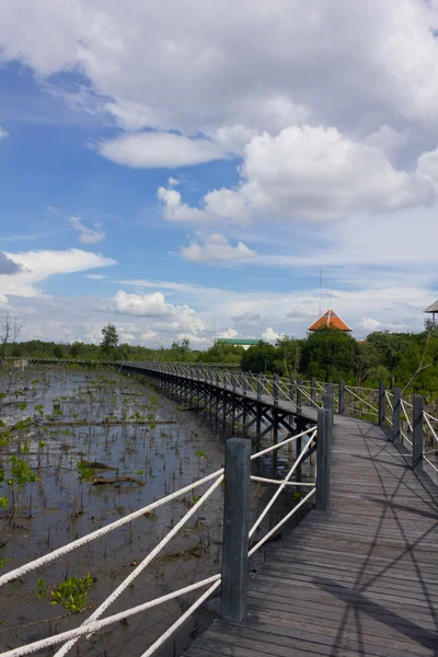 Most je obklopený mangovníky na modré obloze textu — Stock fotografie