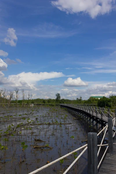 De brug is omgeven door Mangrovebomen op de blauwe hemel textu — Stockfoto