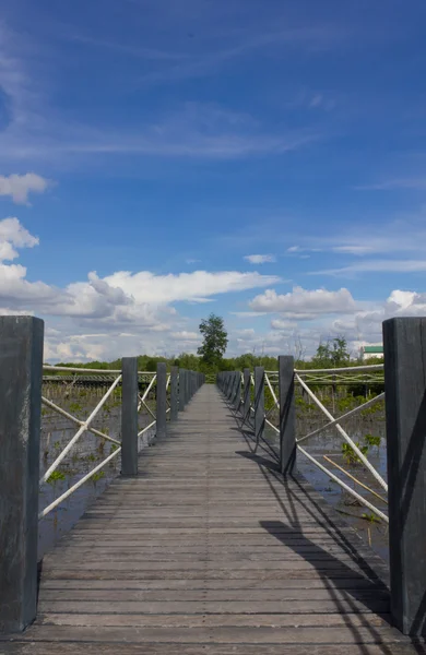 Most je obklopený mangovníky na modré obloze textu — Stock fotografie