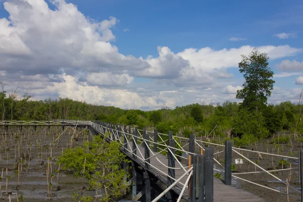 Most jest otoczony przez drzewa mangrowe na niebieski niebo textu — Zdjęcie stockowe
