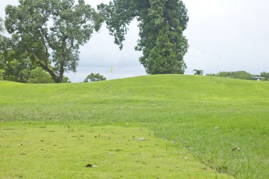 Yeşil çimenlerin üzerinde Golf bayrak